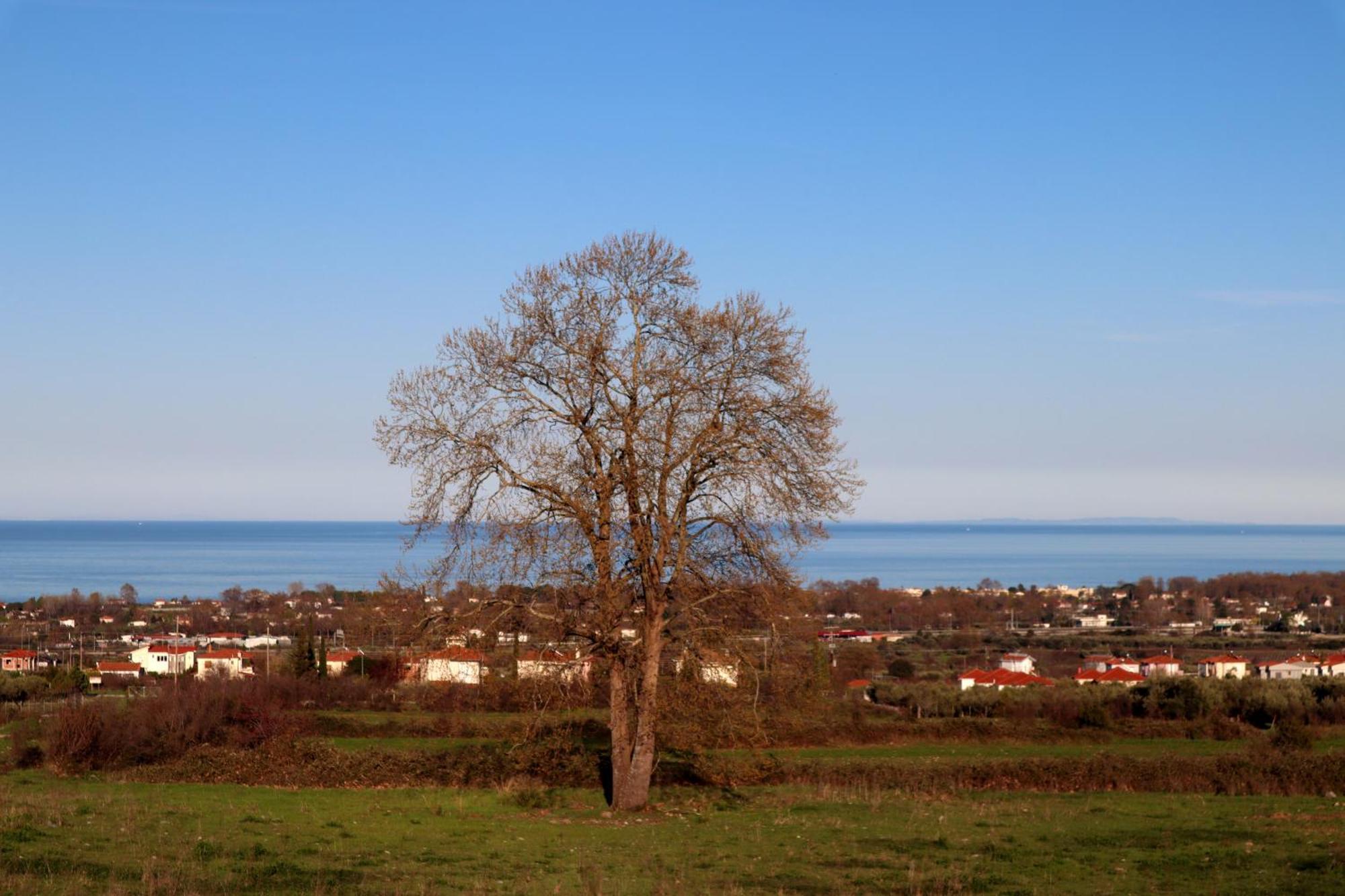 Vila Elioj House Leptokaria Pokoj fotografie
